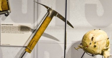 "головотяпство" - а я то думал, что автором сих слов был Р.Меркадер ))))