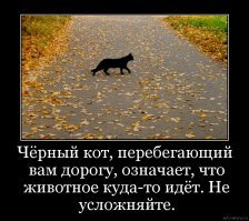 История происхождения плохих примет