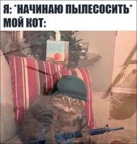 Прикольные и смешные картинки