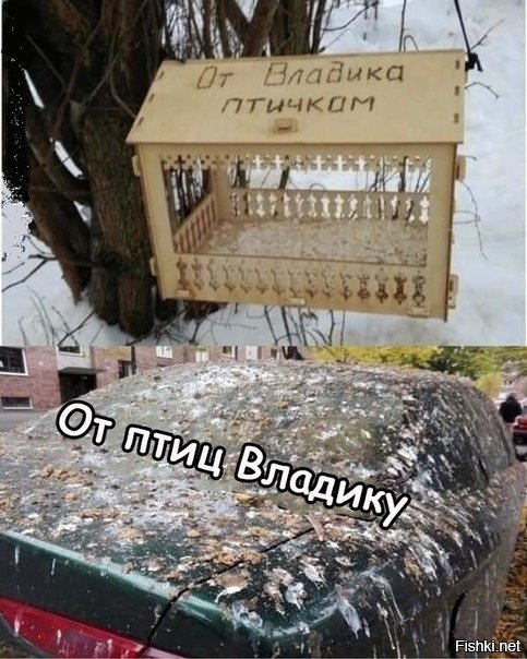 Скворечник без щелей и гвоздей