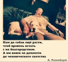 Факты о собаках