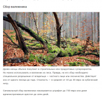 Хм)))  Ну конешна там есть кому чистить леса...........самим жителям ....заплатил и чисти  себе в удовольствие.....А ещё за ягоды, грибы и рыбу плати, за цветы для девушек......Сказка, а не страна))))