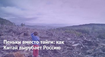 Товарооборот регионов ДФО и провинций Китая в 2018 году увеличился 
почти на 30%