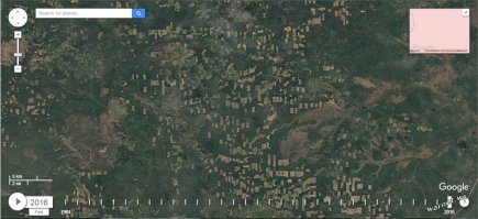 Товарооборот регионов ДФО и провинций Китая в 2018 году увеличился 
почти на 30%