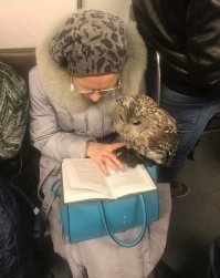 Гермиона уже не та...