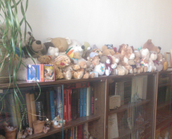 Поскромнее, конечно. Плюшевые медведи. Фото двухлетней давности. Сейчас- сотни полторы...