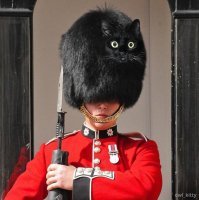 Скрины из социальных сетей