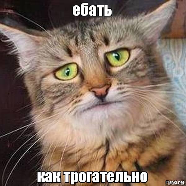 С коррупцией они борются!