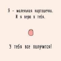 Популярные сорта картофеля для средней полосы России