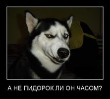 Панин считает, что в России живут "самые злые люди"