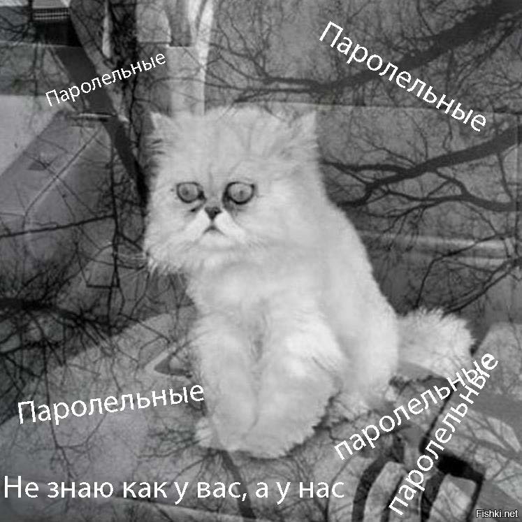 Значит, я единственный такой рукожоп, который бывал в таких порталах и ситуациях.