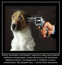 Что за бред? Утка летит со скоростью в 90 км/час и их охотники стреляют без проблем. Вопрос зачем стрелять в собак?