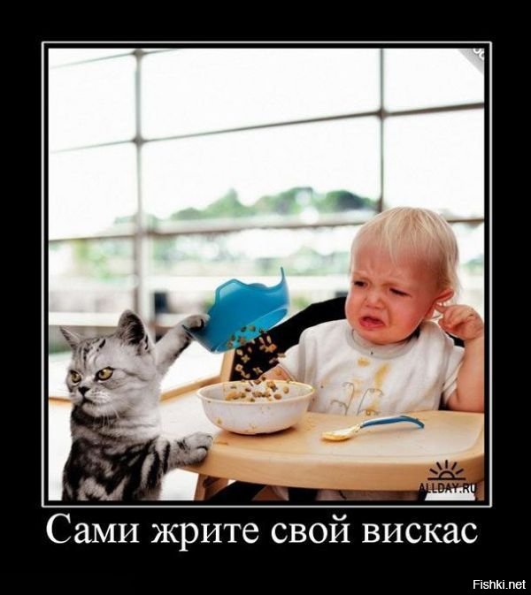 Коты - воришки