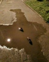 Ну прально, лужа кончилась - больше ботинки не нужны :)