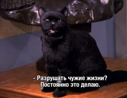 Прикольные и смешные картинки