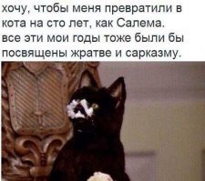 Прикольные и смешные картинки