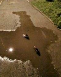 Тут всё просто: молния ударила в мужика и испарила его, оставив маленькую лужу и туфли.