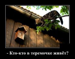 У меня, напротив окна - дерево.
Так мой Кот жену как-то напугал - сидел на ветке и прицеливался запрыгнуть домой в форточку. Оценил, что не осилить. Метра 3, всёж. Пошёл через дверь.