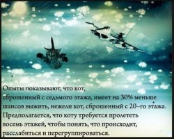 Сколько котов понабилось, чтобы это установить?