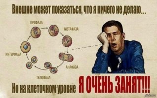 Это только кажется, что ничего не происходит...