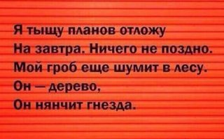 Скрины из социальных сетей