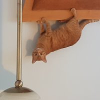 Мой не такой уж большой, но достаточно элегантный
 Фишки кверх тормашат мои фотки (или я что-то делаю не так), извините