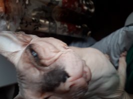 Поспишь тут...