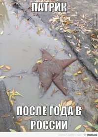 Патрику тоже не фартит.