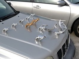 По количеству сбитых животных?