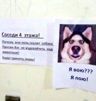18 реальных объявлений от людей, которым жутко не повезло с соседями