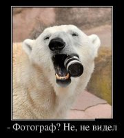 Смешные коментарии из соцсетей