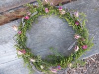 вот венец, а у них короны!