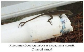 Ошибка контрольной суммы:)