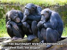 Алкопост на вечер этой пятницы