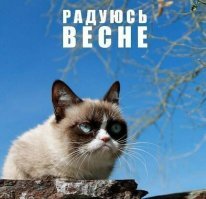 Девушка смешно руководит парнем, чтобы тот правильно её сфотографировал возле цветущей сакуры