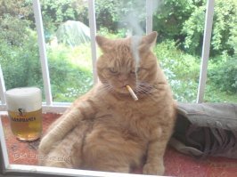 Этого тоже приютили, но от алкоголизма и курения не отучили.