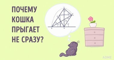 Демотивируй