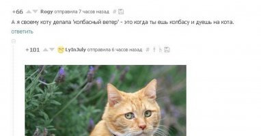 Смешные коментарии из соцсетей