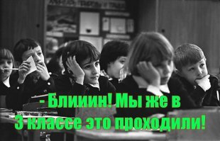 Открыт новый вид древних китов