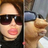 Это он он ещё польстил. :)