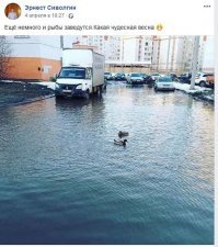 Прикольные и смешные картинки