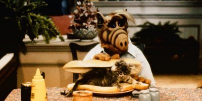 За каждым великим человеком стоит кот