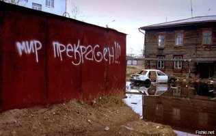 20 по-настоящему забавных примеров вандальных надписей