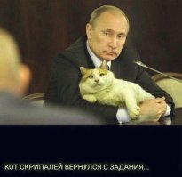За каждым великим человеком стоит кот