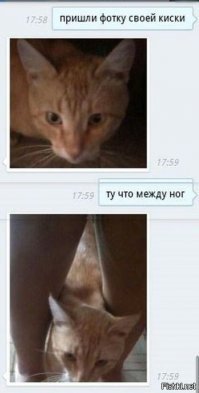 Для настроения