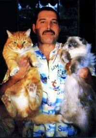 У Фредди Меркьюри было несколько кошек.
Пост слабоват. Добавляю.