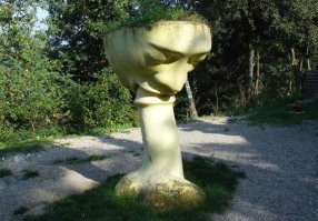 Прикольные и смешные картинки