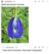 25 картинок о том, как Аспидорас, Кумарчик и Затрахис ждут Сосибию парвипеннис