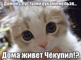 25 картинок о том, как Аспидорас, Кумарчик и Затрахис ждут Сосибию парвипеннис