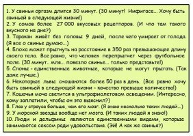 Занимательная зоология в гифках